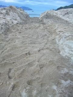 今日の作業終了（2012吉里吉里クリーンＰ第1期5/10～14）