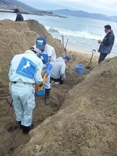 ふるいにかけて分別（2012吉里吉里クリーンＰ第1期5/10～14）