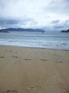 作業中！（2012吉里吉里クリーンＰ第1期5/10～14）