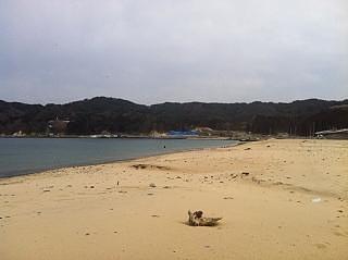 3つのプロジェクトで大槌を応援します（2012）