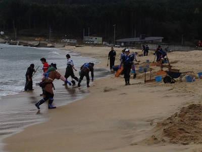 今日の海岸清掃作業（2012吉里吉里クリーンＰ第 6 期 10/26～30）