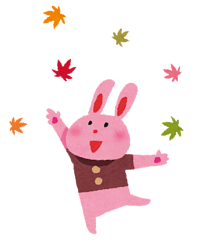 １１月のレッスン日