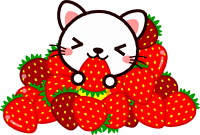 5月のレッスン日