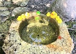 10月のレッスン日