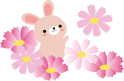 9月のレッスン日