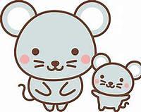 1月のレッスン日