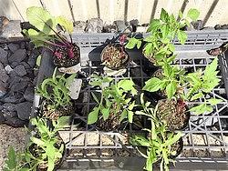 5月10日のレッスン