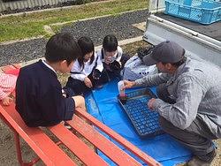 4月１２日のレッスン　春のイベント