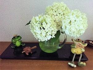 7月のレッスン日