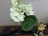 夏休みの中学生英語　