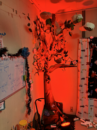 月曜日クラスのハロウィーンパーティー