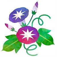 7月のレッスン日をお知らせします