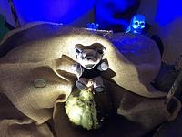 月曜日クラスのハロウィンパーティー