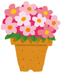 ３月のレッスン日