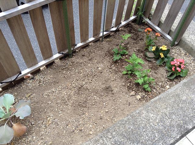 何植えようかな(^_^;)