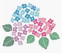 6月のレッスン日