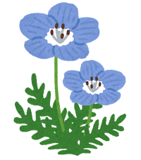 ５月のレッスン日