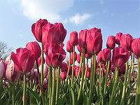 4月のレッスン日