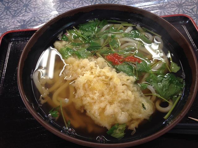 鮎天うどん