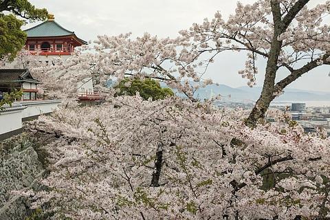 2024年4月8日TABI鉄サークル第2弾