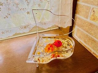 春❀8人の方が入会してくださいました‼