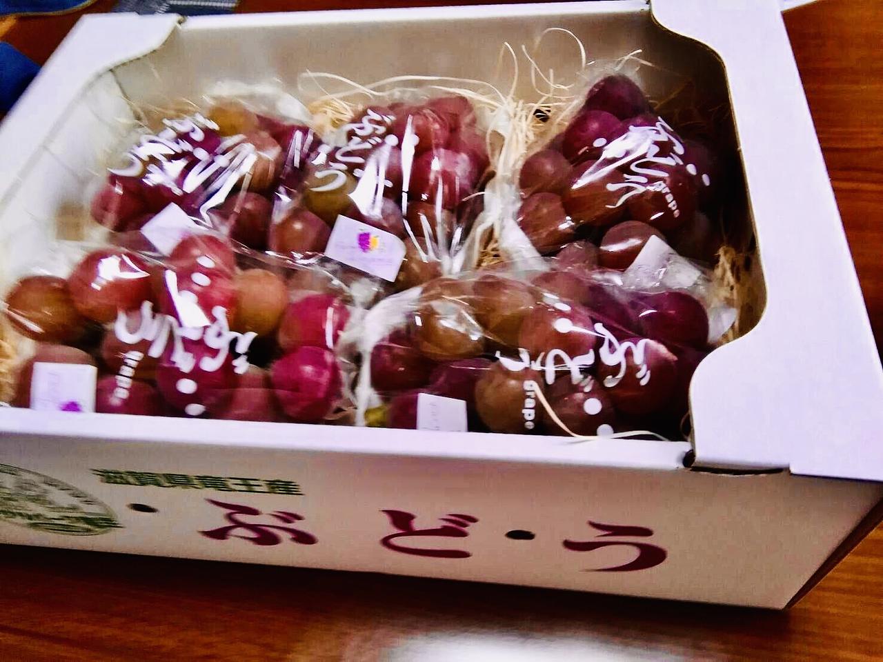 自粛のお盆　実家に送る歌✨