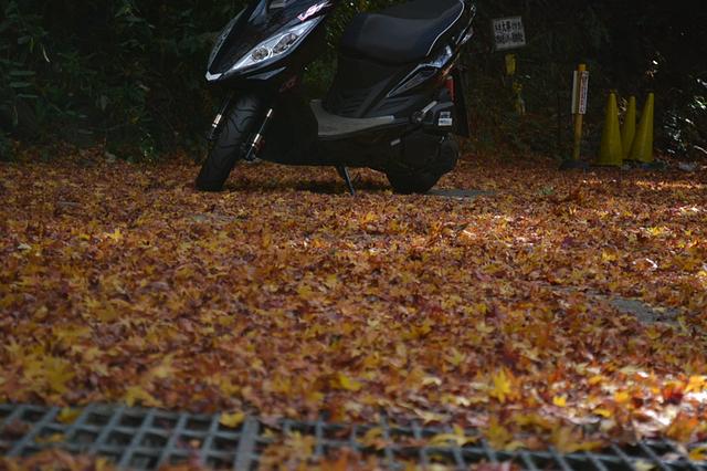 もう終わりだね！