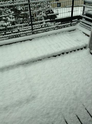 どっひゃ〜雪や