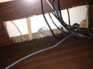 引きちぎってやった！