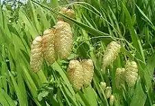 自然の営みは静かなれど