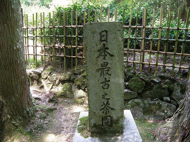 日本最古之茶園