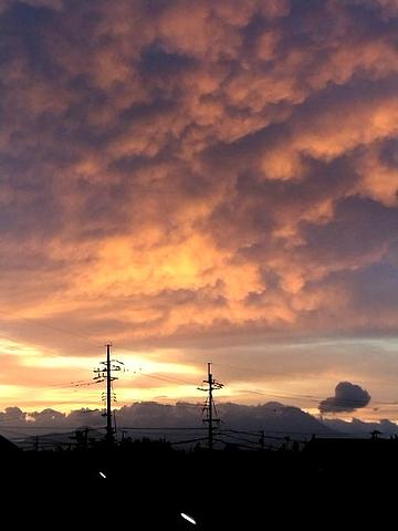 ★C-2体験搭乗2025