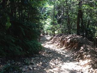 荒れた登り道