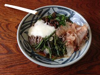 ぶっかけうどん