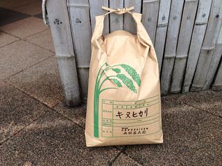 キヌヒカリ