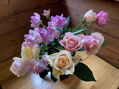 今年、いいことあったお祝いにと最終日にいただいた薔薇。 女子力あがる～♪（ババ力だっっ）