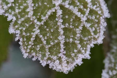 早起きは三文の徳？