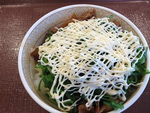 ねぎマヨ丼