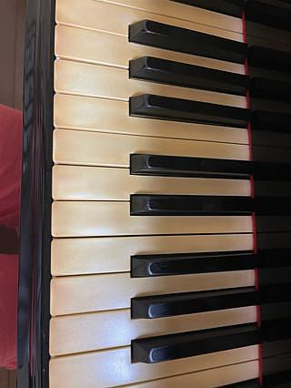 鍵盤張り替えました‼︎