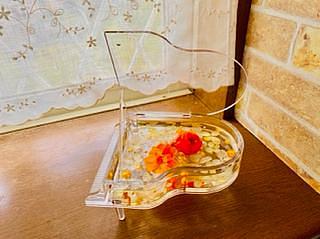 守山市ピアノ教室5選に紹介されました❣