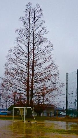 自主教室のつどい〜守山市民ホール見に来てください。