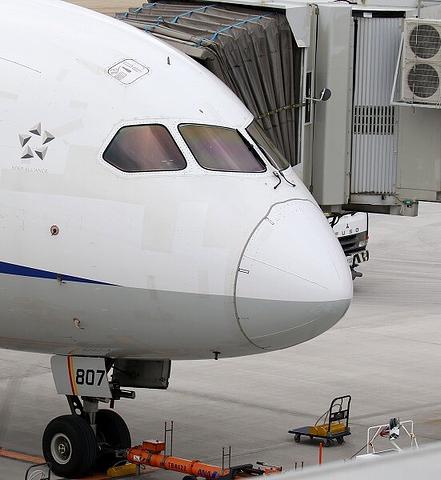 ★空港散歩・ボーイング７８７