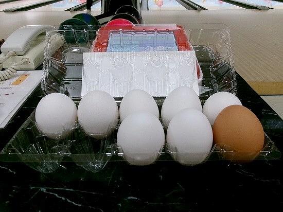 ▼月曜日は生たまご