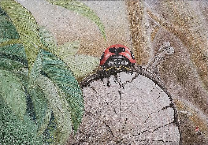 「てんとう虫」