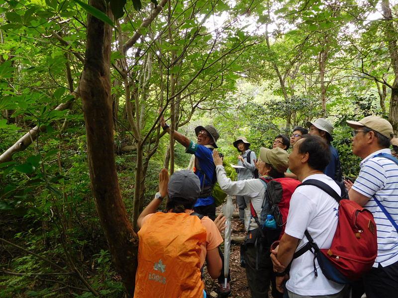 【7/25】たかしまの森へ行こう！～高島トレイルとガイドビジネスを知ろう！～開催報告