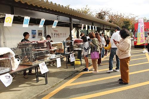 屋外会場のようす