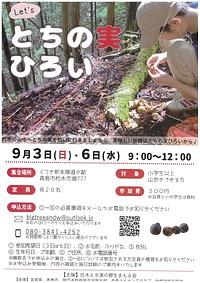 【９／３（日）・６日（水）開催】[朽木] Let’ｓとちの実ひろい