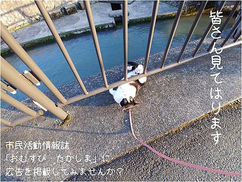 情報誌「おむすび・たかしま」　５９号　広告募集中です