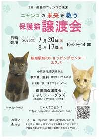【7/20(日)、8/17(日)】ニャンコの未来を救う「保護猫譲渡会」