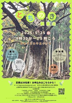 【5/25(日)】とちのき観察会